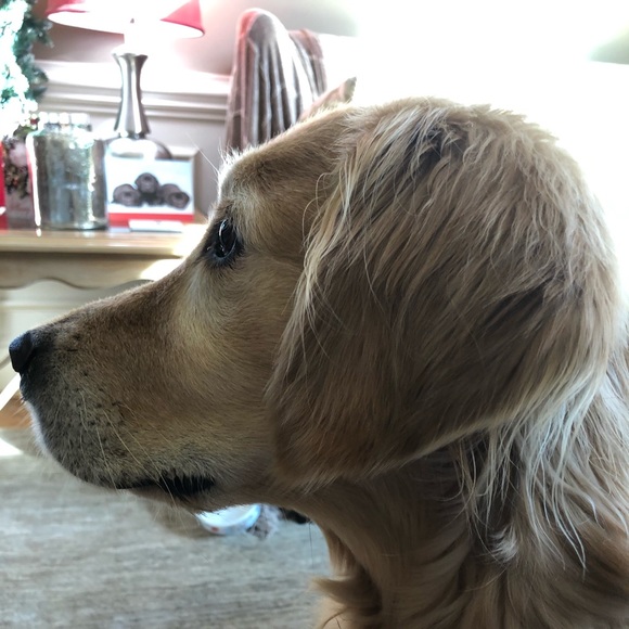 Meet your Posher, Julia - Picture 2 of 2